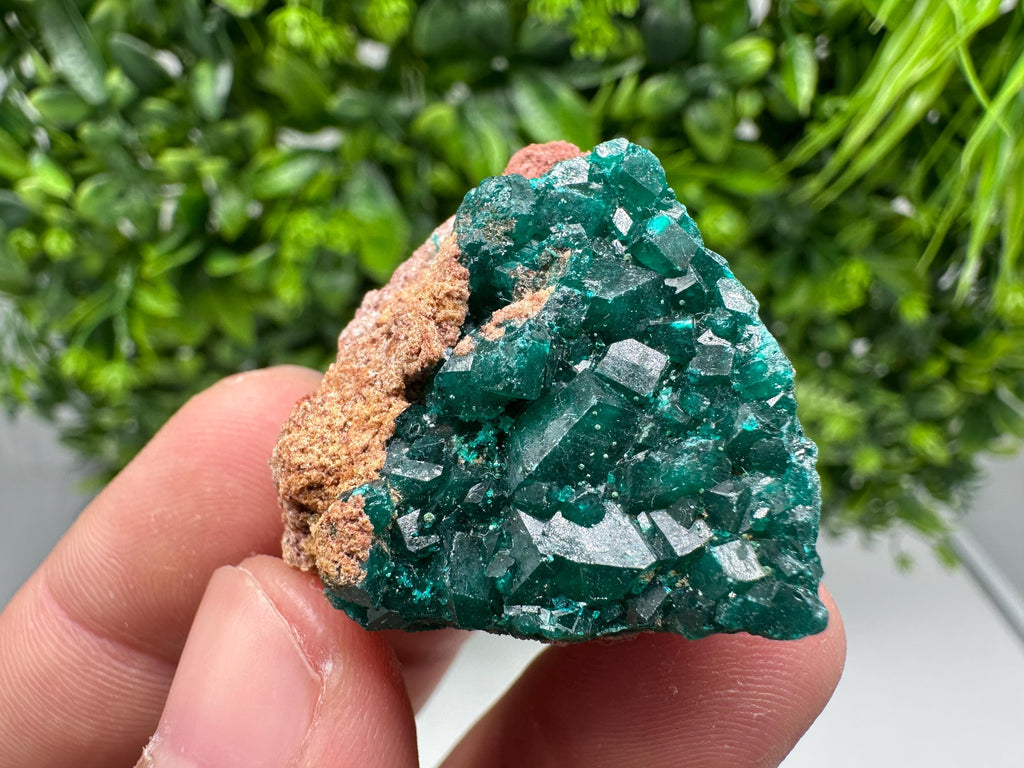 Stunning Green Dioptase from Sanda Hills,Mindouli,Pool Department,Mindouli District,Congo,green Dioptase,Dioptas Crystal,Dioptase collecting