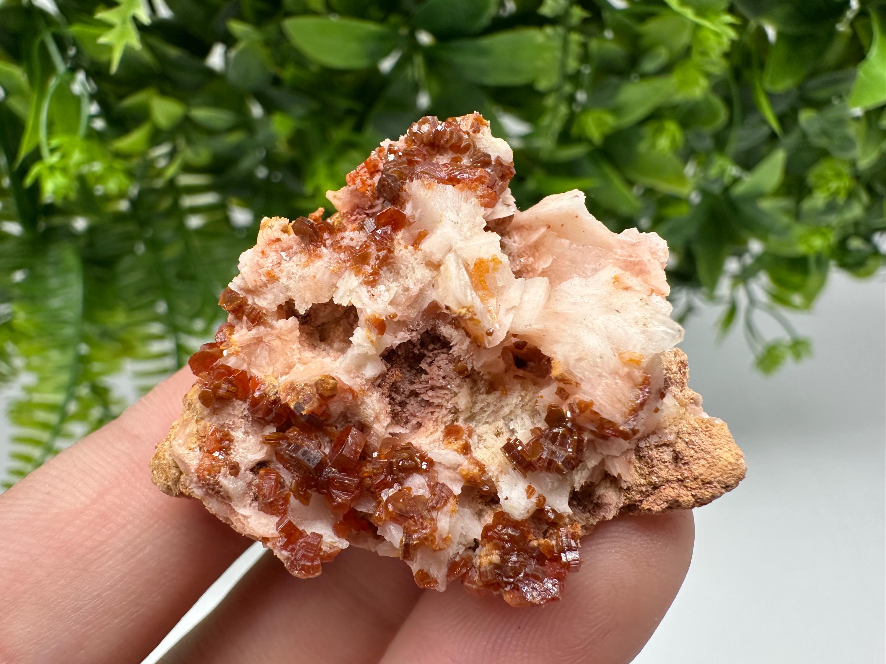 Red Vanadinite on Barite from Marocco,crystal minerals Speciment cluster Vanadinite crystal Vanadinite Geology Vanadinite cluster minerals
