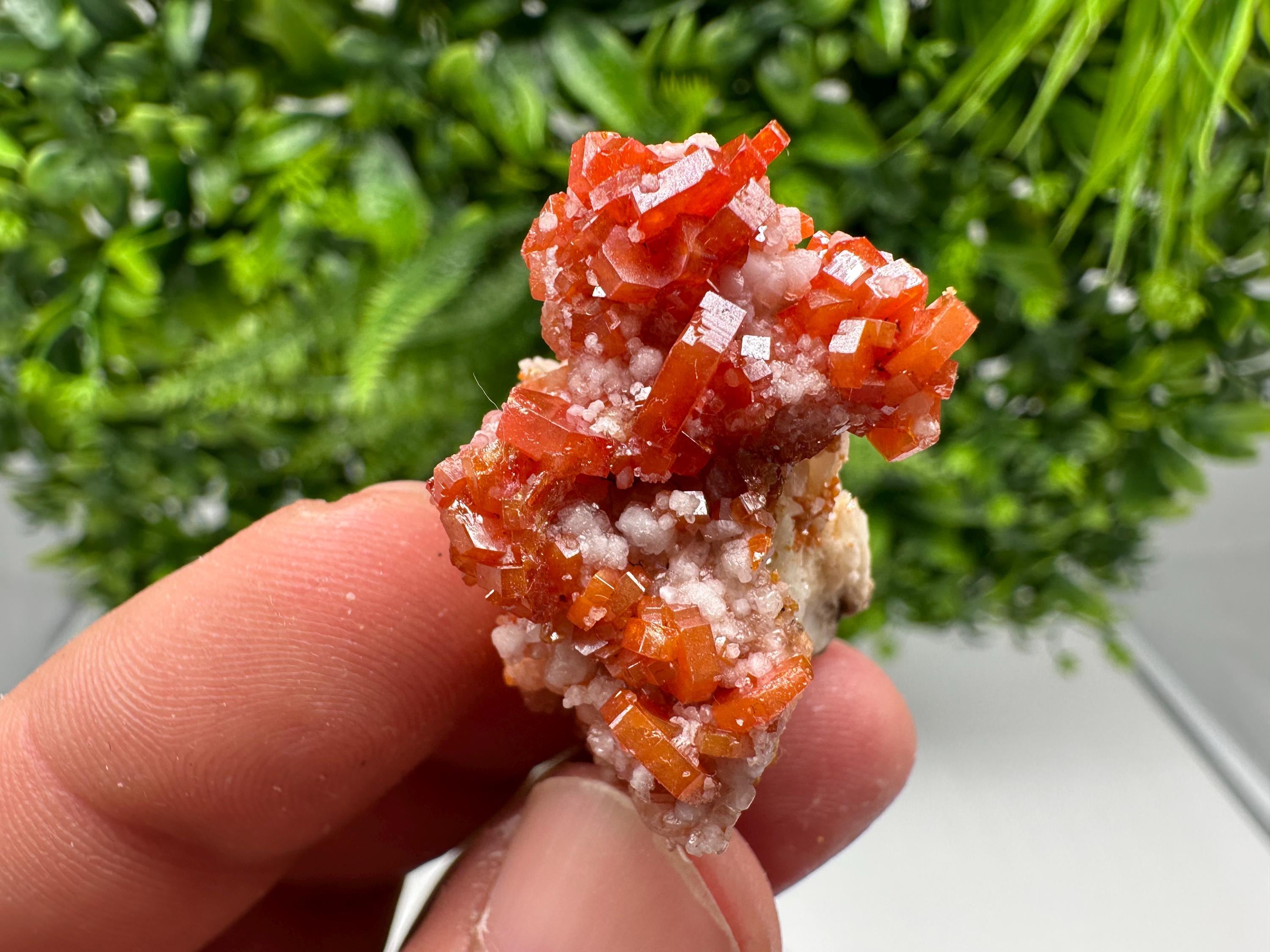 Red Vanadinite on Barite from Marocco,crystal minerals Speciment cluster Vanadinite crystal Vanadinite Geology Vanadinite cluster minerals