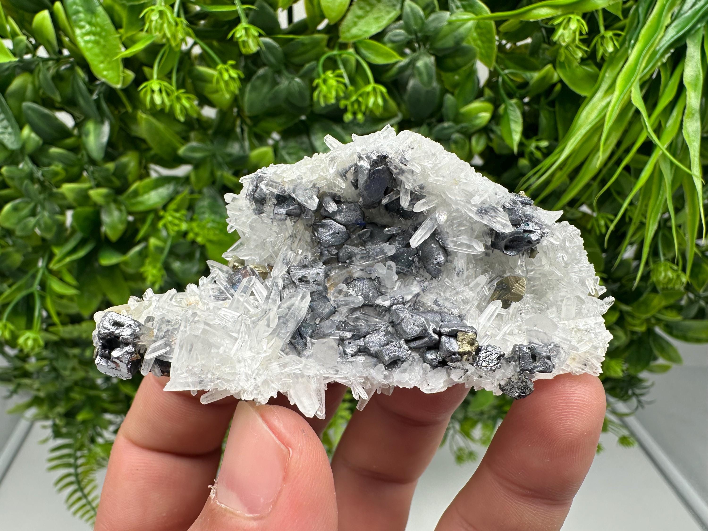 Aesthetic Natural shiny Galena whit Siderite and Quartz from 9 th September mine,Bulgaria,collection specimen,rare galena,Galena cluster