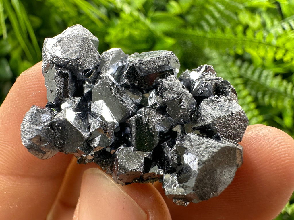 Shiny Galena Cluster: Borieva Mine, Madan, Bulgaria