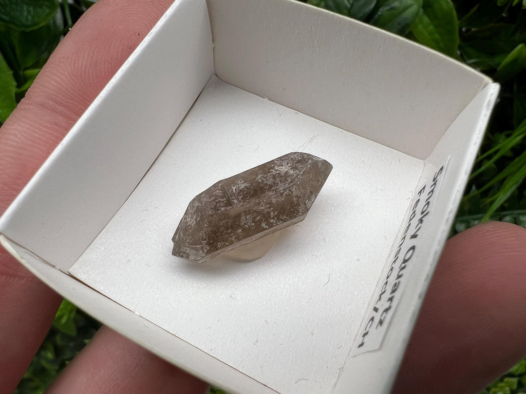 Rare Smoky Quartz Point, Fedenstock Switzerland Mineral Specimen (25MM)