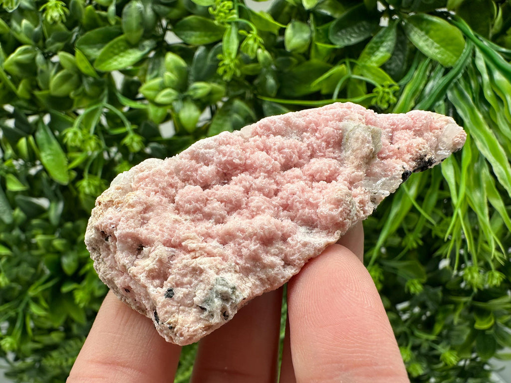 Pink Rhodochrosite Crystal: Starnica Mine, Bulgaria, Home Decor