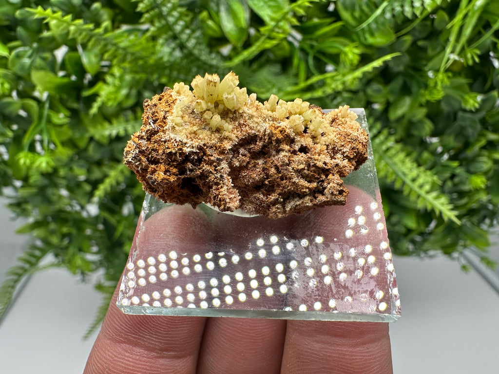 Green Yellow Pyromorphite Hematite on Quartz, Madjarovo Bulgaria