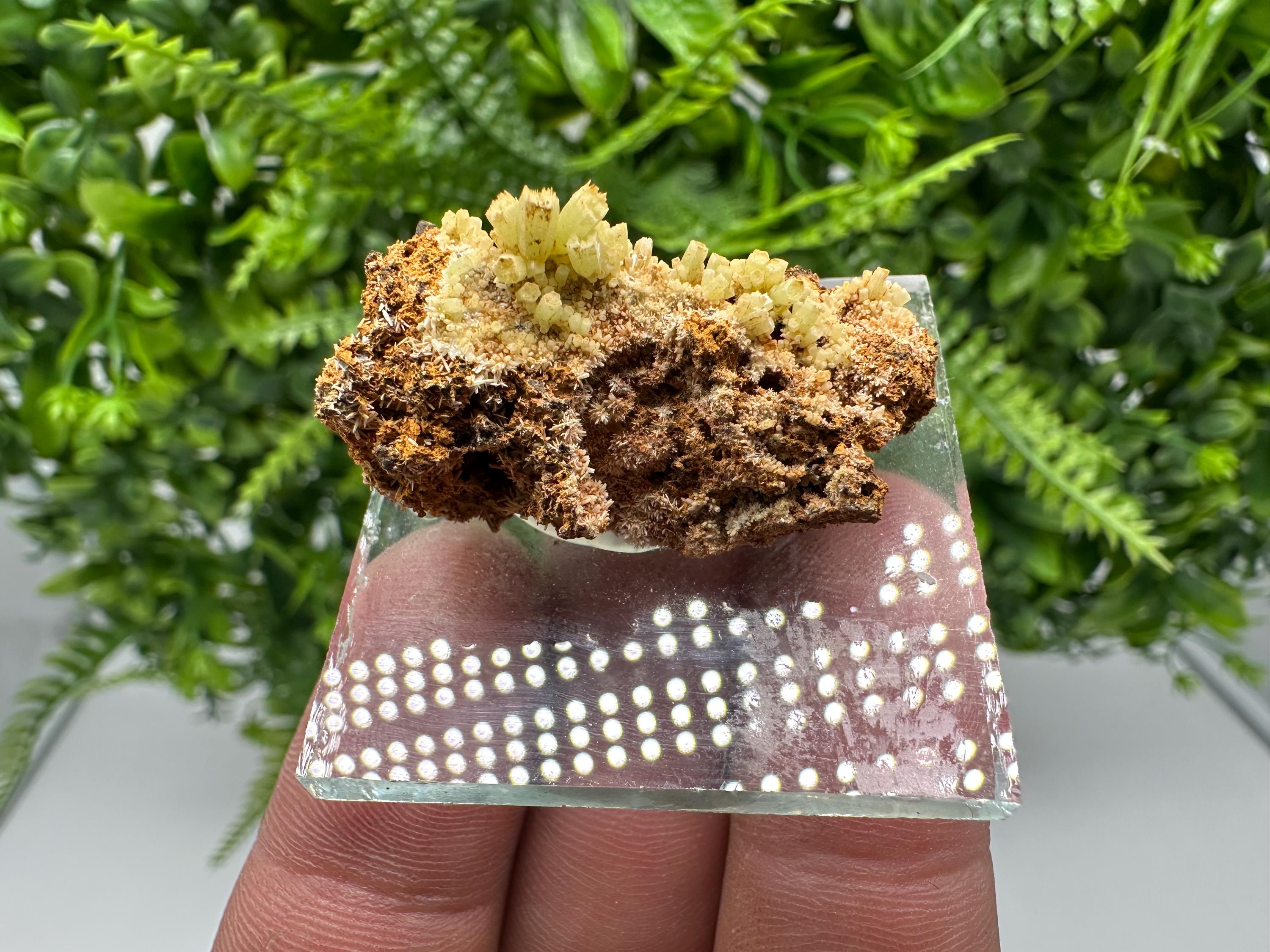 Green Yellow Pyromorphite Hematite on Quartz, Madjarovo Bulgaria