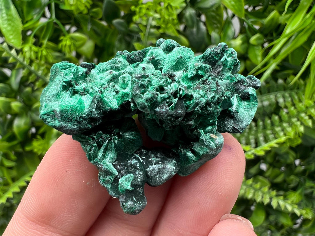 Malachite Crystal from Congo,Minerals,Crystals from Congo,Green Malachite, Malachite,Natural Malachite,Malachite Stone,Chakra, Specimens