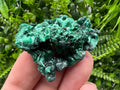 Malachite Crystal from Congo,Minerals,Crystals from Congo,Green Malachite, Malachite,Natural Malachite,Malachite Stone,Chakra, Specimens