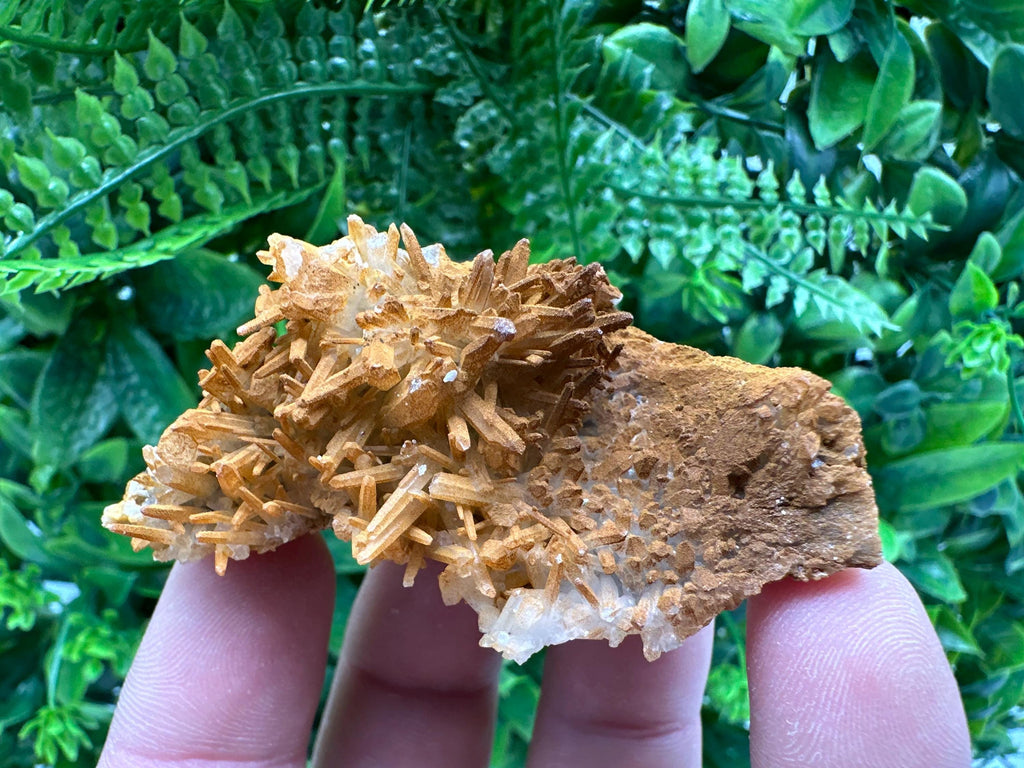 Limonite Coated Quartz Crystal - Iron Oxide Mineral Specimen