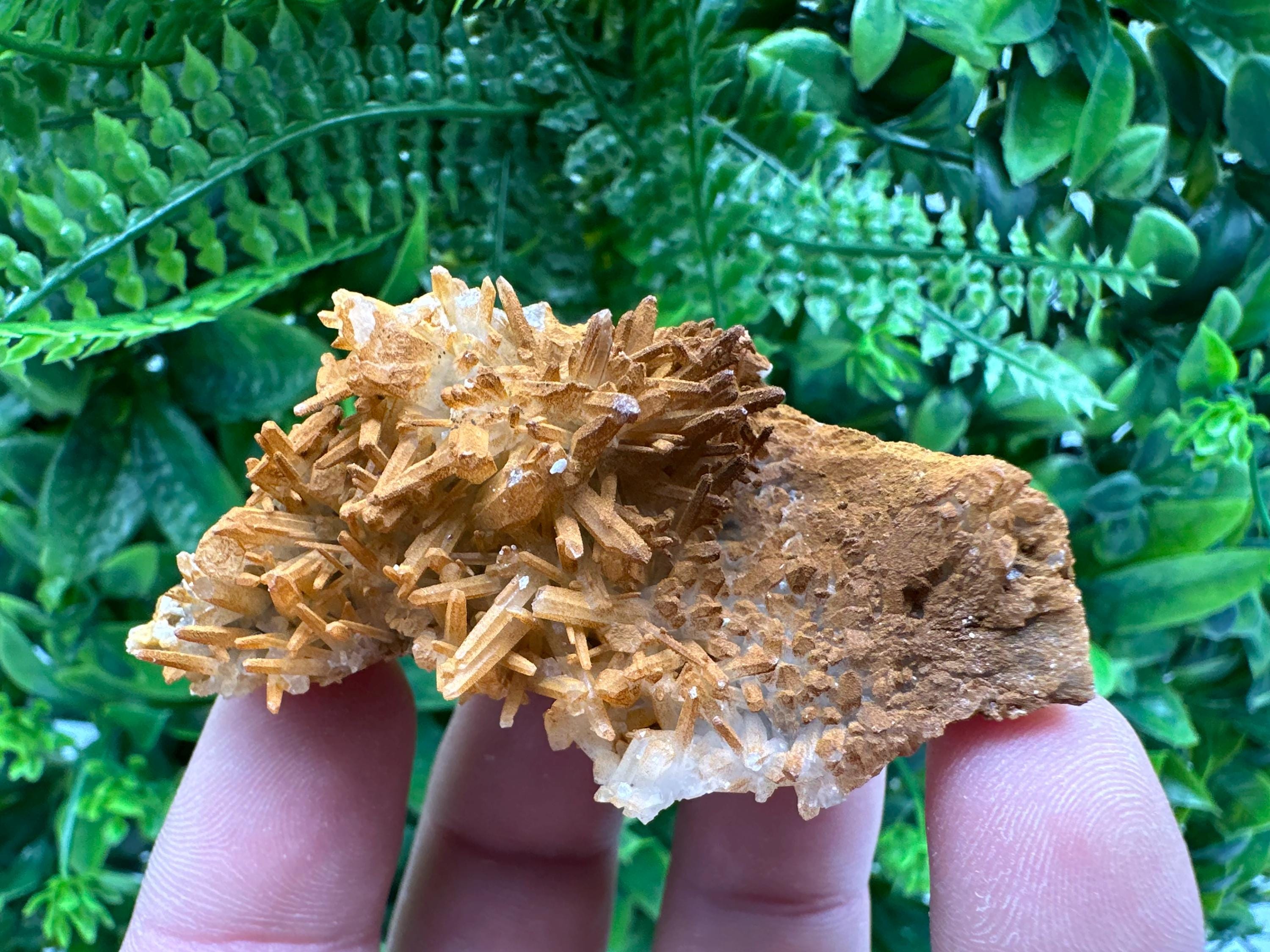 Limonite Coated Quartz Crystal - Iron Oxide Mineral Specimen