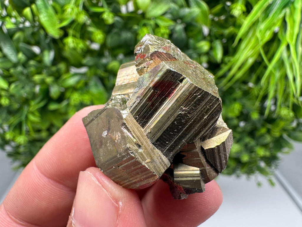 Rare Mini Pyrite Cluster: Golden Rainbow Crystallization from Borieva Mine