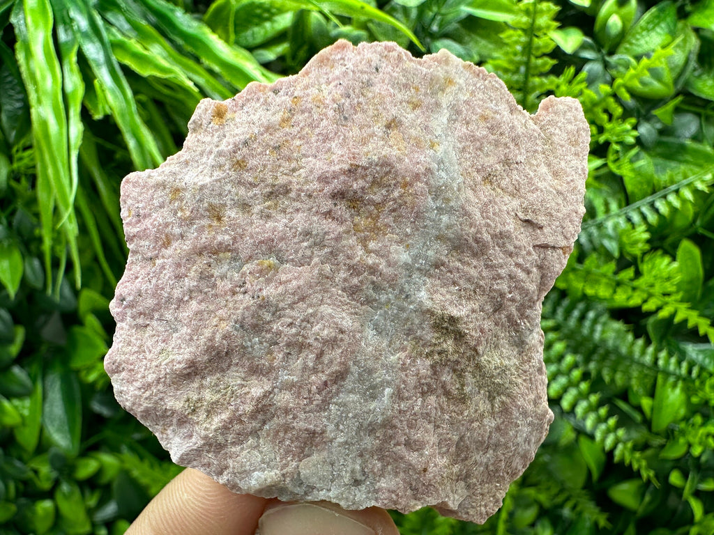Pink Rhodonite Crystal: Starnica Mine, Bulgaria, Home Decor