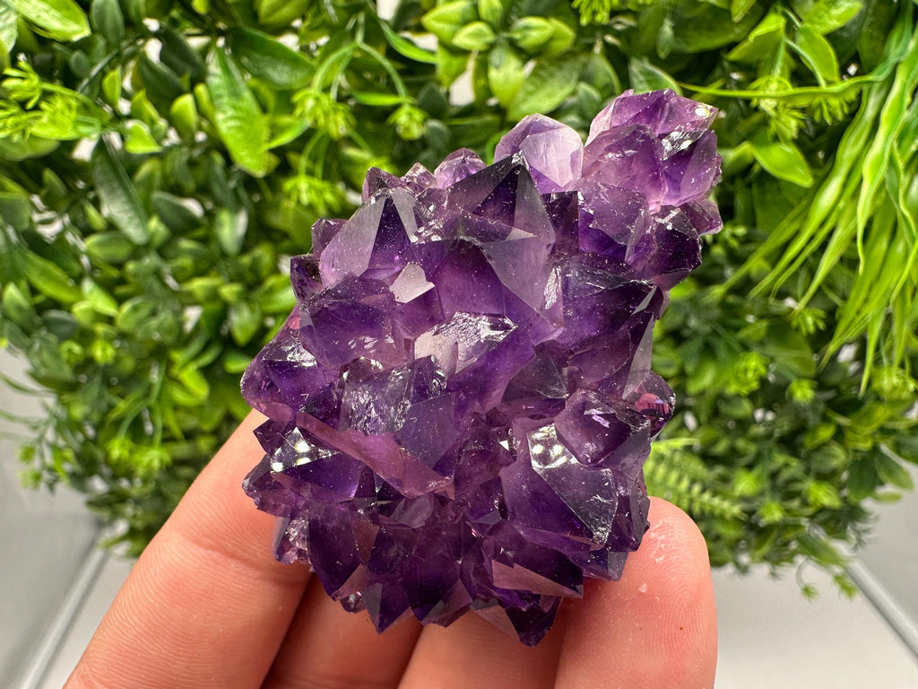 Uruguay Amethyst Cluster, Natural Purple Quartz Crystal, Home Decor