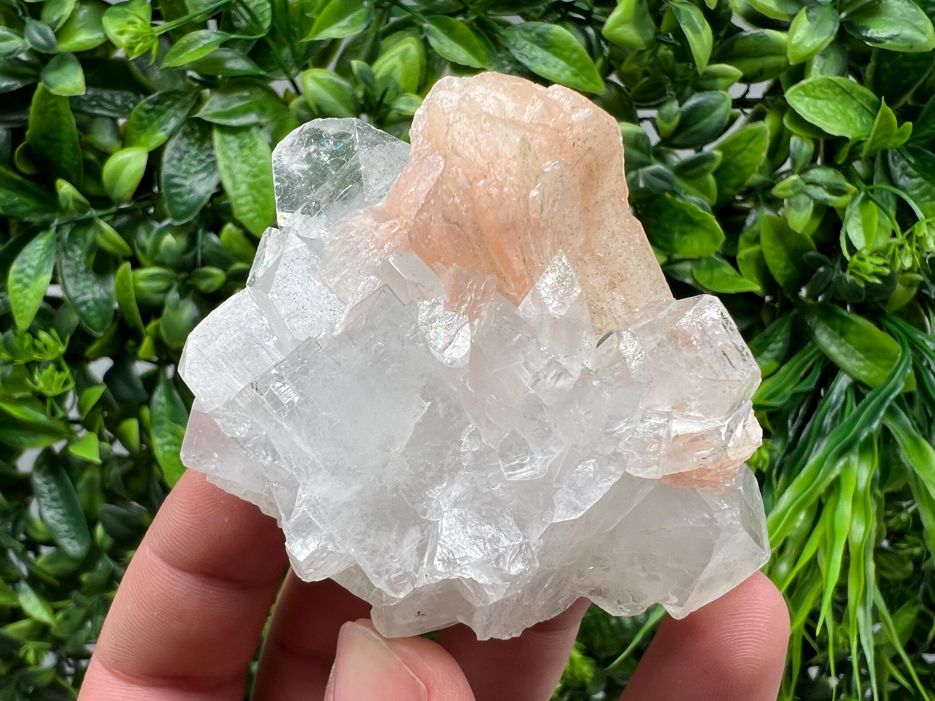 Apophyllite on Chalcedony Specimen: Natural Crystal from India