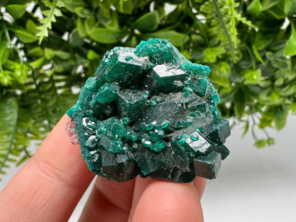 Stunning Green Dioptase from Sanda Hills,Mindouli,Pool Department,Mindouli District,Congo,green Dioptase,Dioptas Crystal,Dioptase collecting