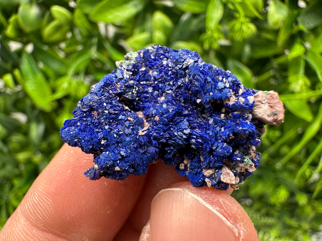 Crystallized Azurite-Kerrouchen,Morocco-Blue Azurite Specimen-High Quality Blue Azurite-Azurite Mineral Specimen, gemmy,lustrous of Azurite