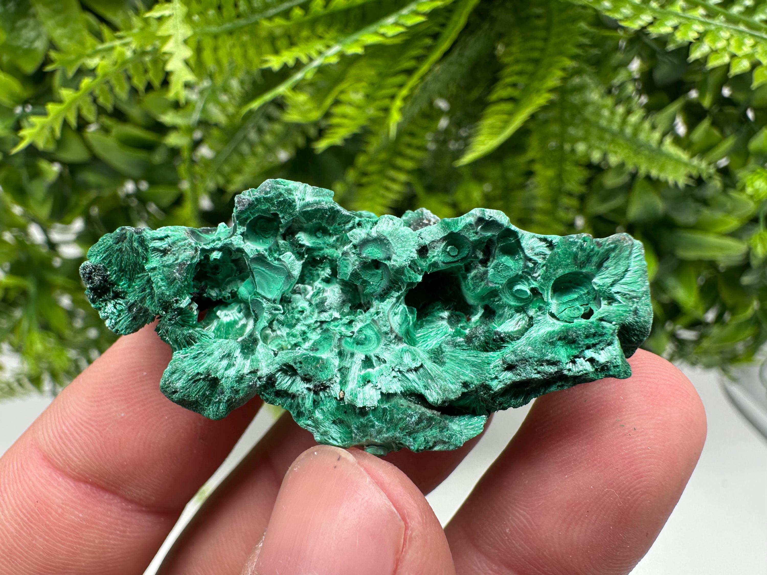 Malachite Crystal from Congo,Minerals,Crystals from Congo,Green Malachite, Malachite,Natural Malachite,Malachite Stone,Chakra, Specimens