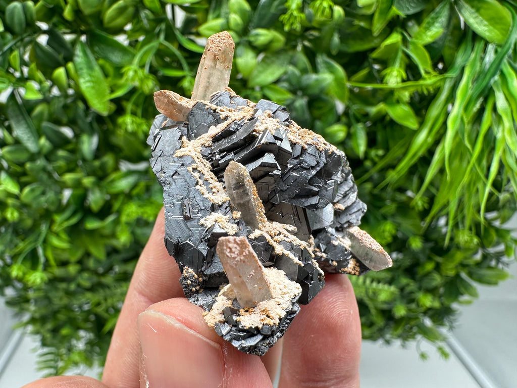 Wonderful Sphalerite Chalcopyrite on Green Quartz whit Hematite feom 9 th September mine,Bulgaria,natural,collection mineral specimen,gift