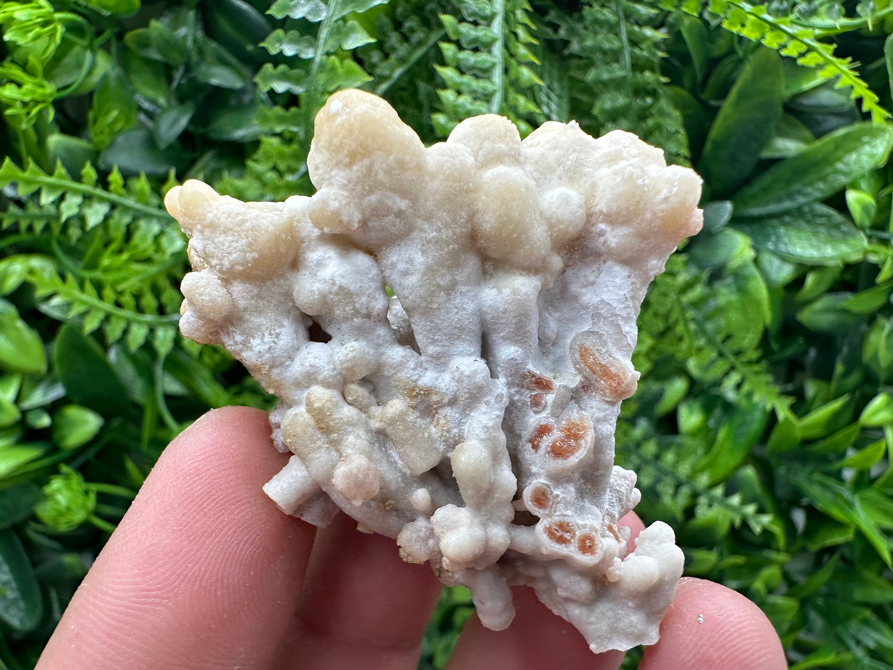 Aragonite Cluster, Natural Mineral Specimen, Bulgaria Crystal