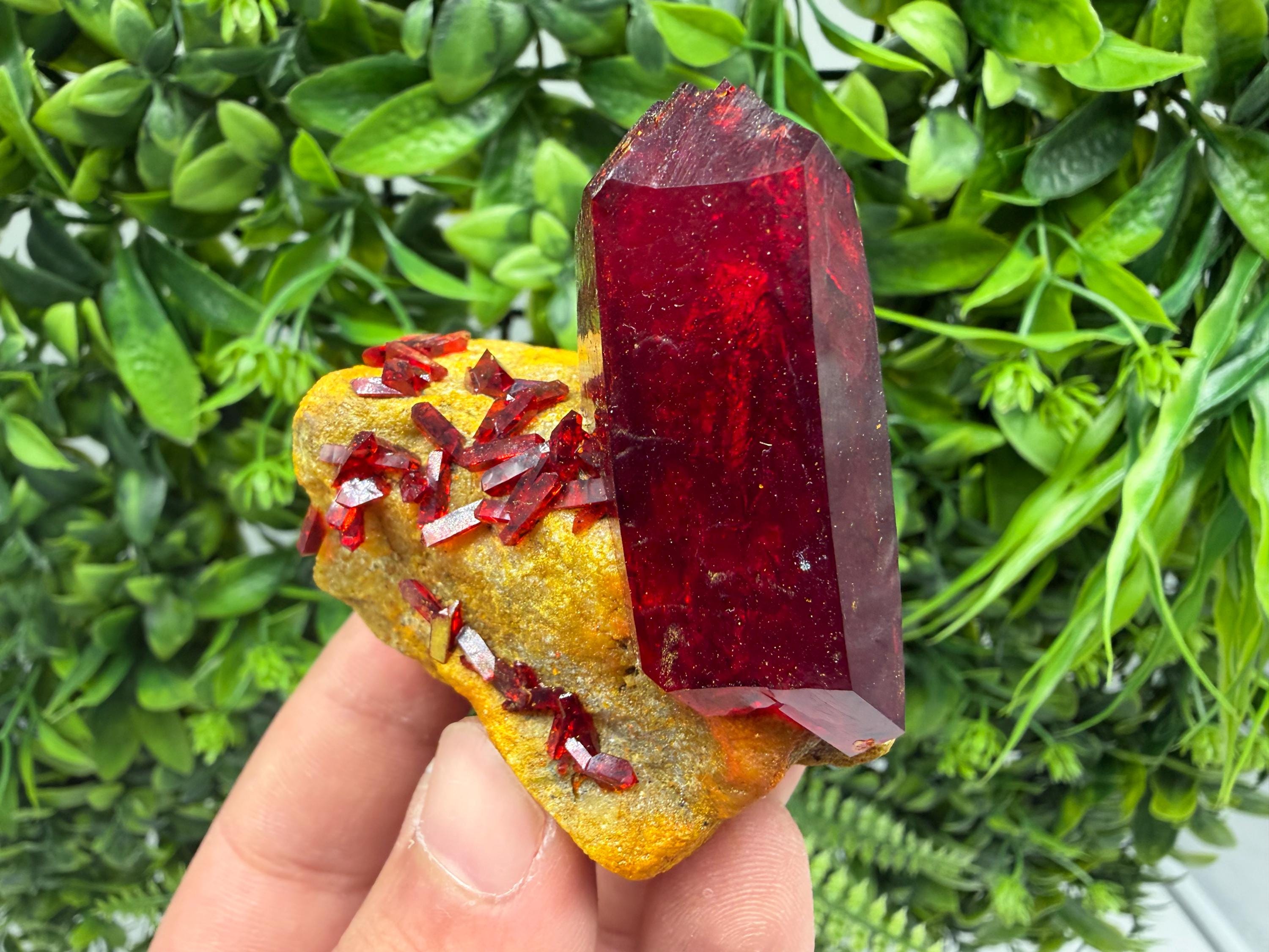 XXL Laboratory Pruskite Ruby Crystal on Matrix