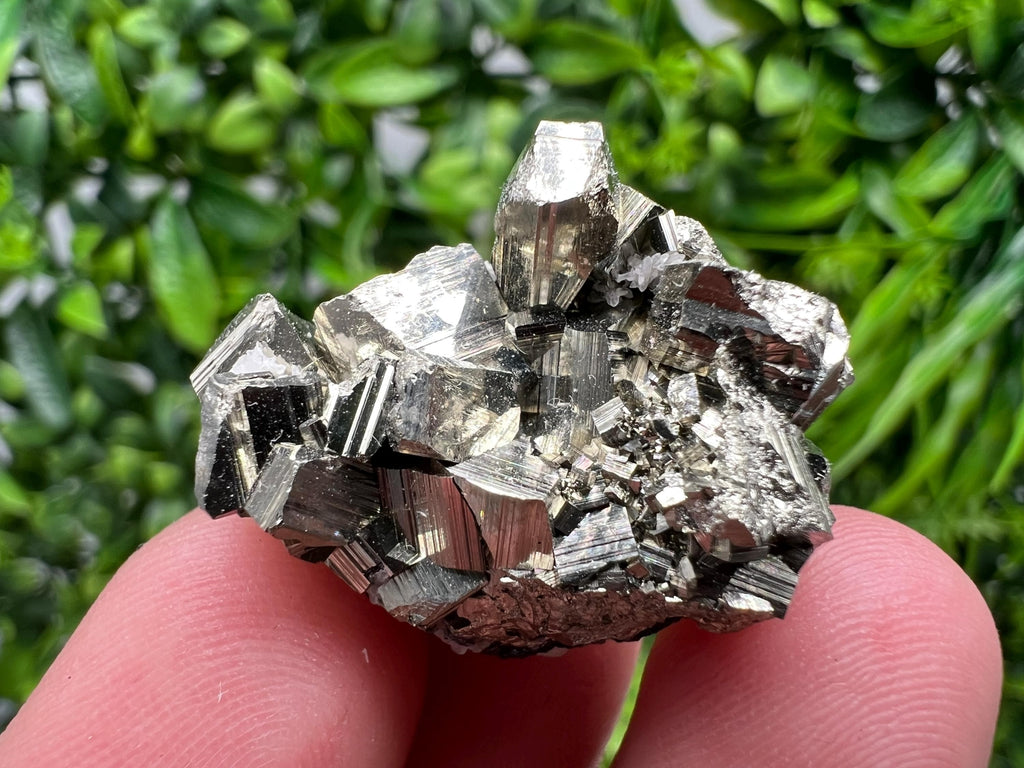 Golden Pyrite,Sphalerite from 9th September mine,Madan,Bulgaria,natural,collectible mineral specimen,home decor crystal,Pyrite cluster,