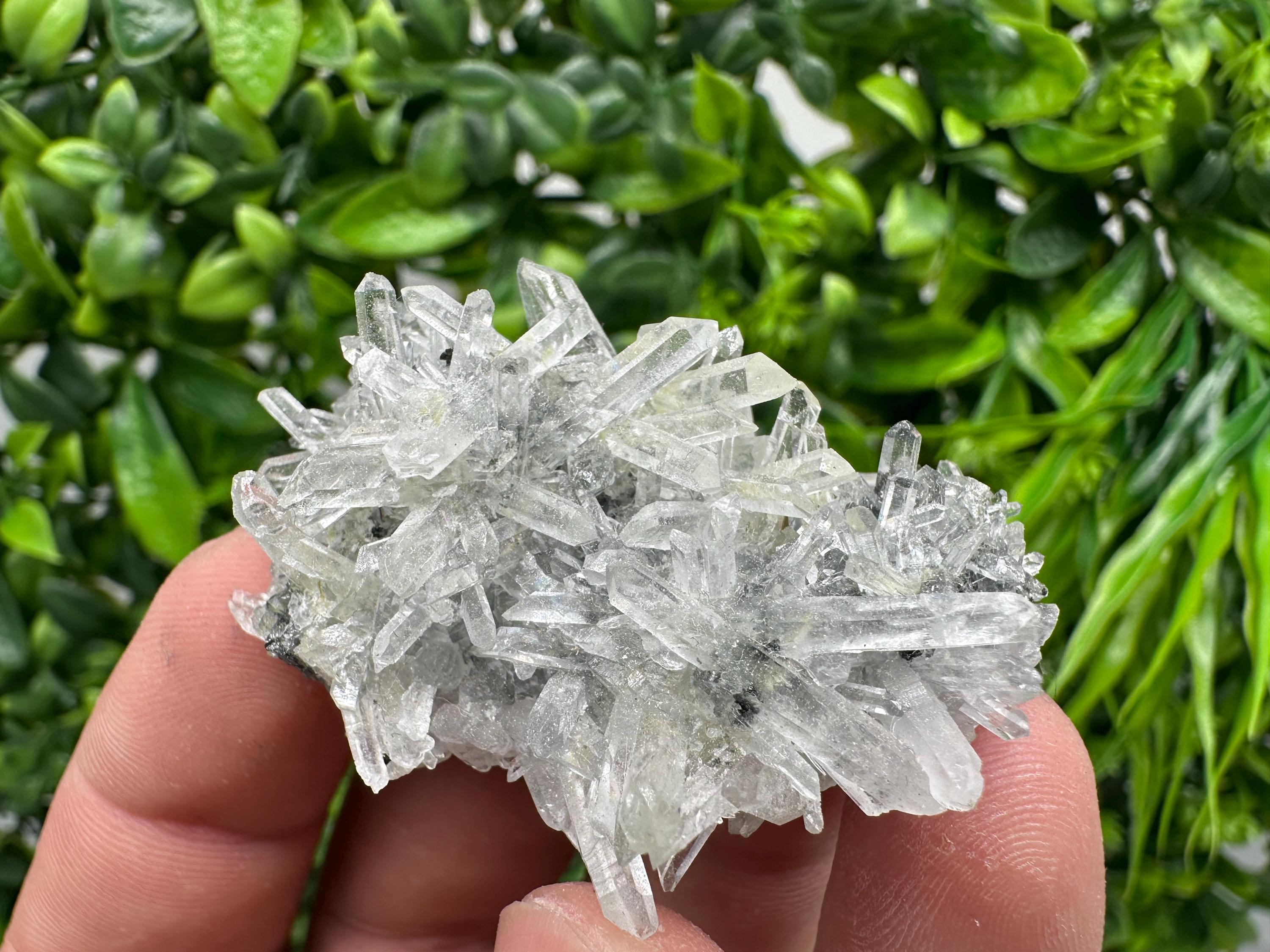 Quartz with Epidote Specimen: Borieva Mine, Bulgaria