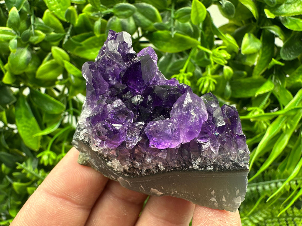 Uruguay Amethyst Cluster: Natural Purple Quartz Crystal, Home Decor