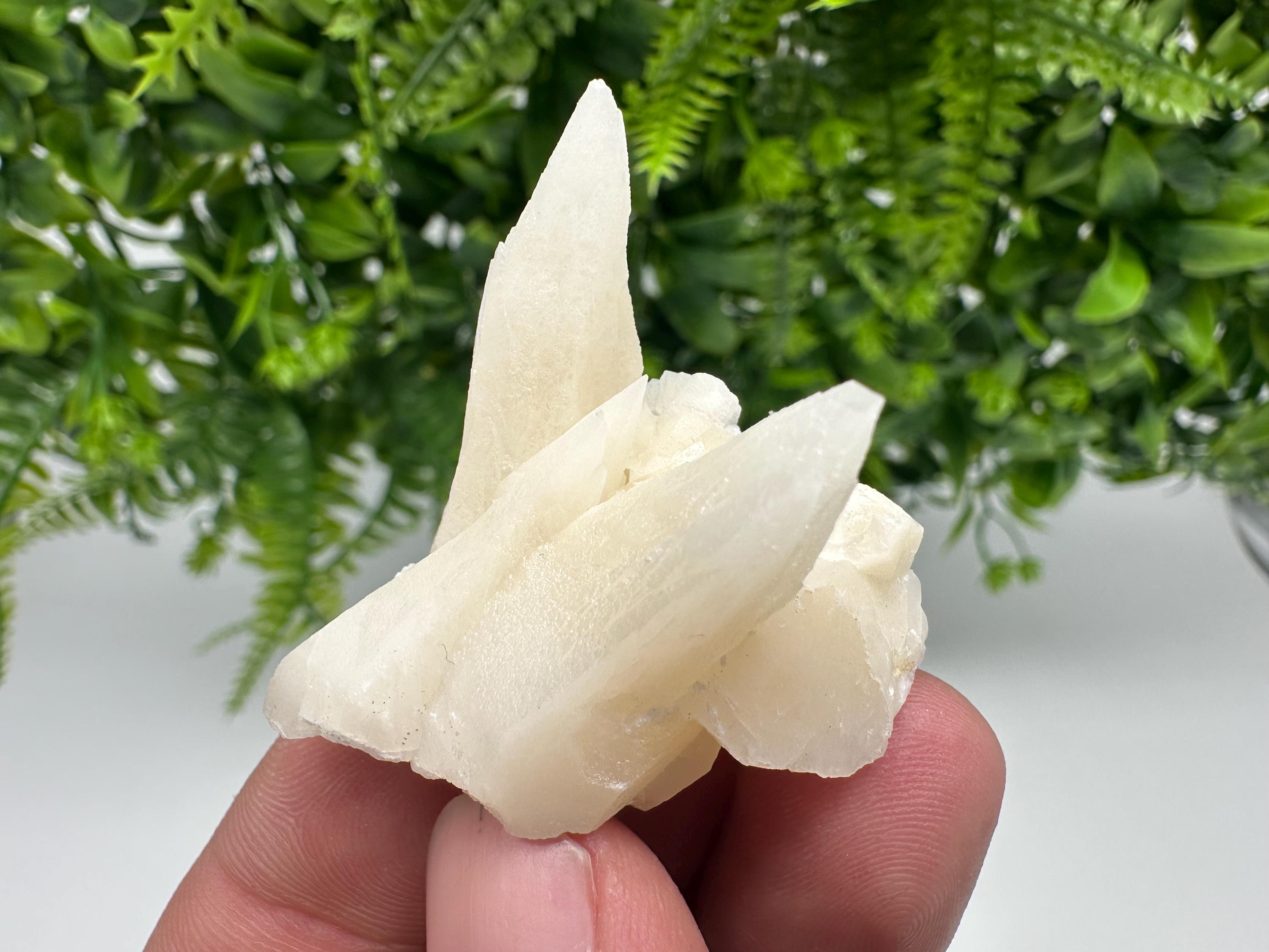 Calcite on Aragonite: Djurcovo Mine, Bulgaria Crystal