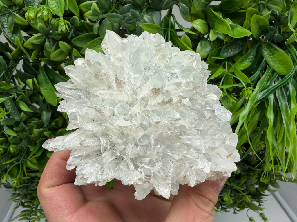 Transparent Quartz on Chlorite Matrix Mineral Specimen, Borieva Mine Bulgaria