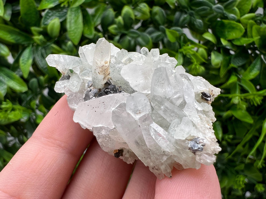 Wonderful Transparent Quartz,Chlorite,Calcite,From Borieva mine,Madan,Bulgaria,Quartz,Quartz crystal,mineral specimen,collection quartz