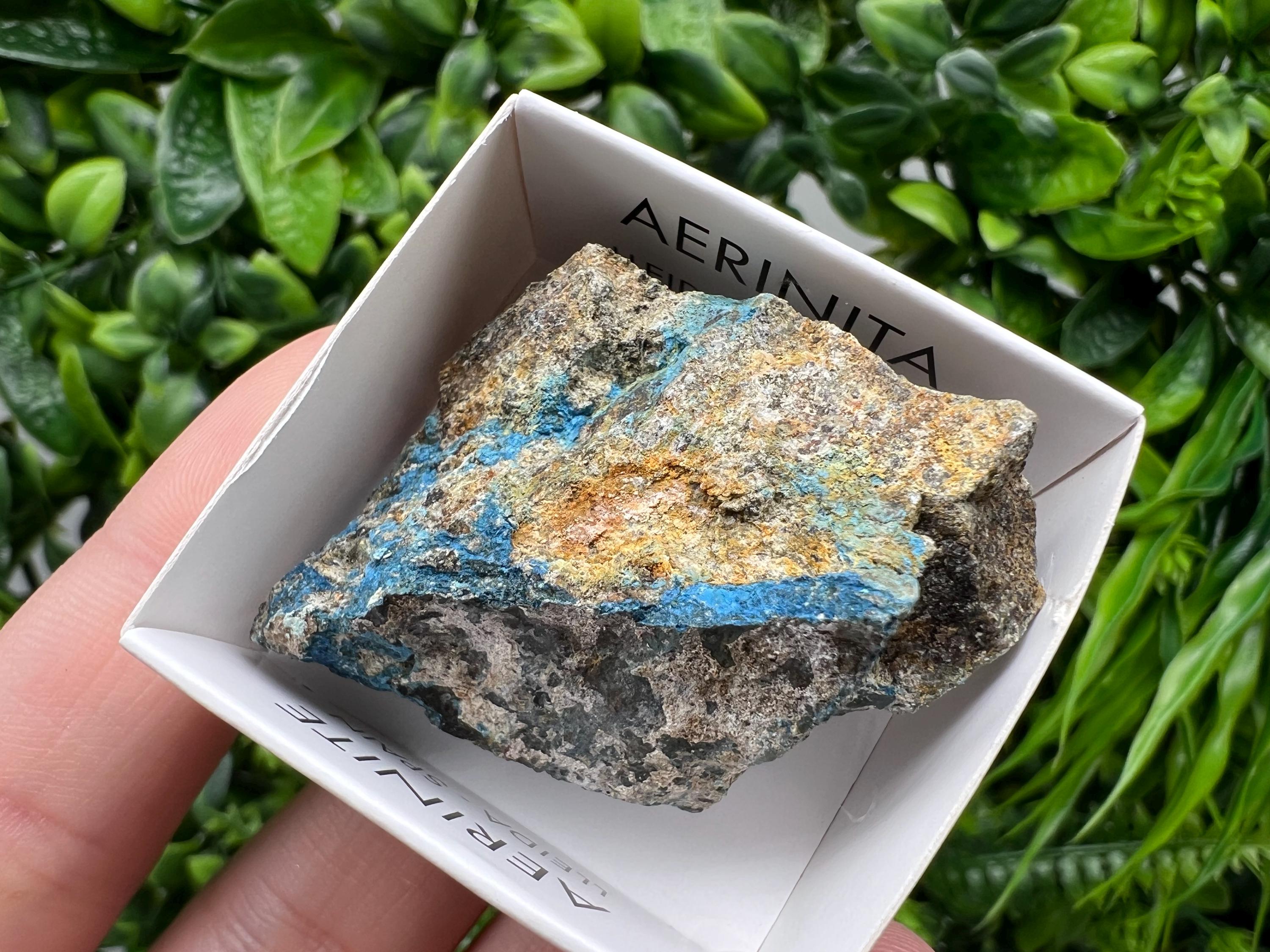 Rare Raw Aerinite Mineral Specimen: Lleida, Spain Crystal (4/3.5 CM)