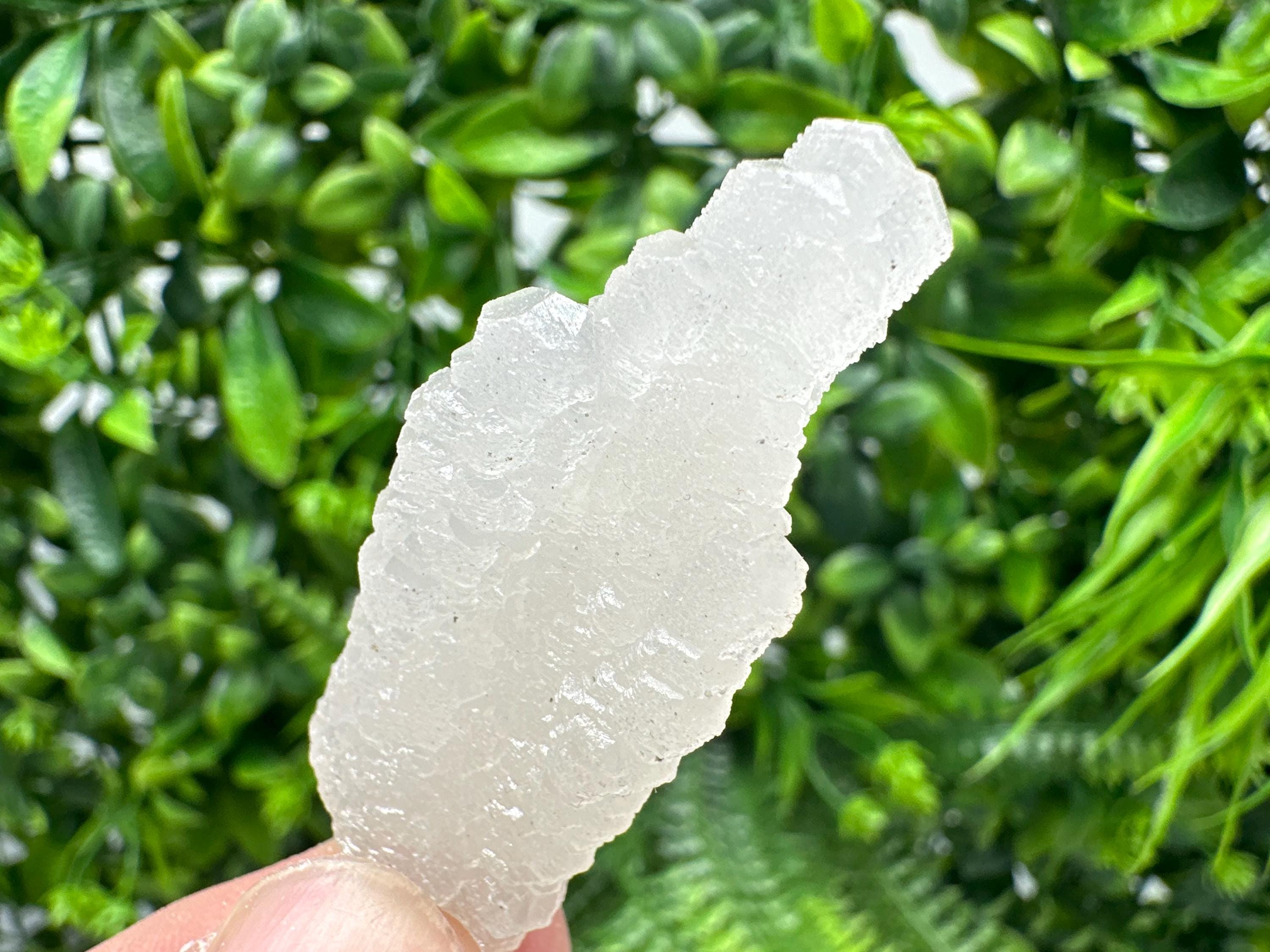 Fluorescent Mangano Calcite Specimen: Rhodopes, Bulgaria Mineral Decor
