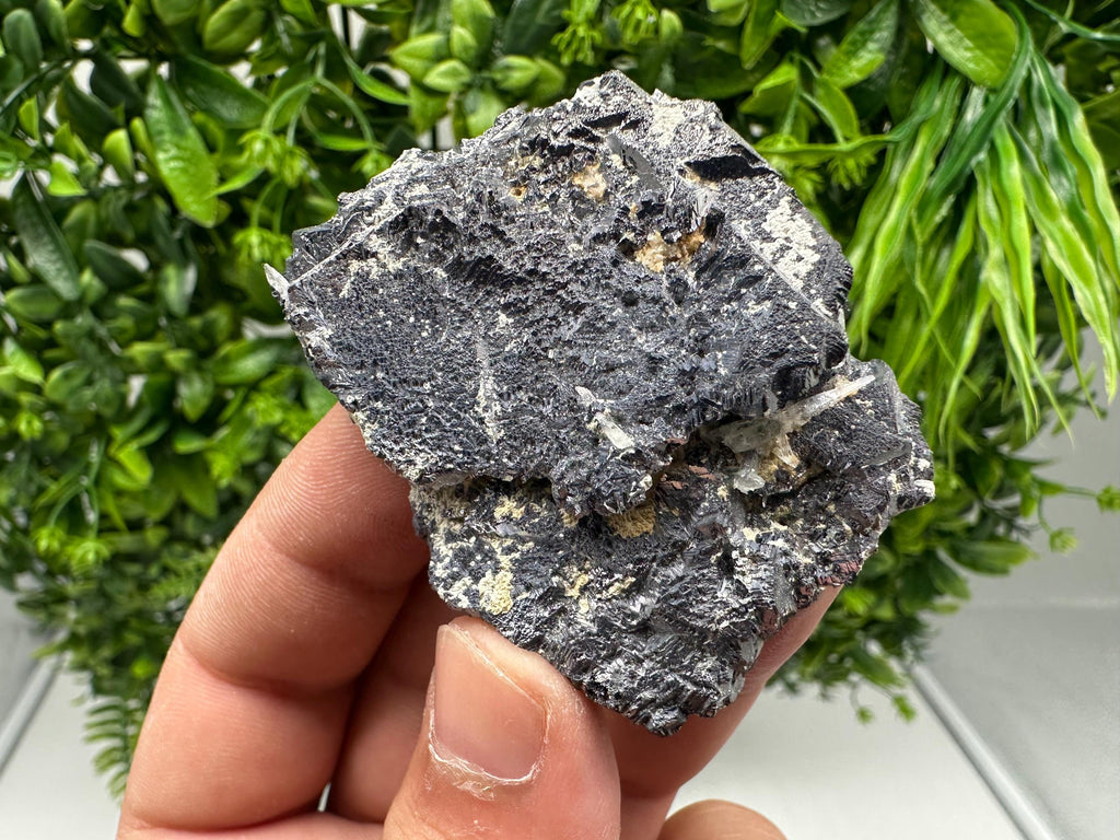 Galena Spinel Law Mineral Specimen: Krushev Dol, Bulgaria