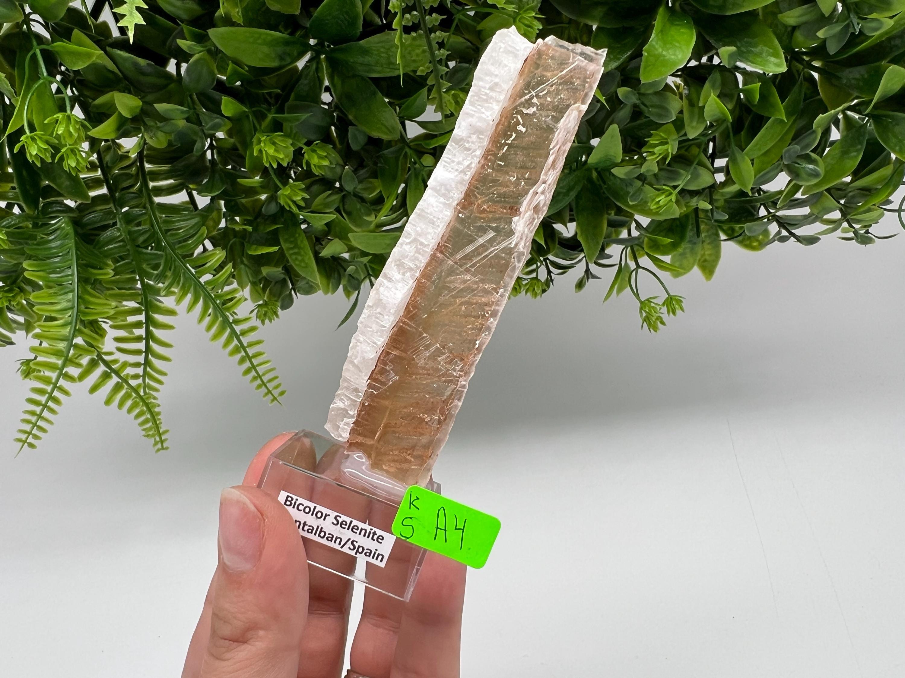 Golden Phantom Selenite Slab: Utah Raw Fishtail Selenite Wand