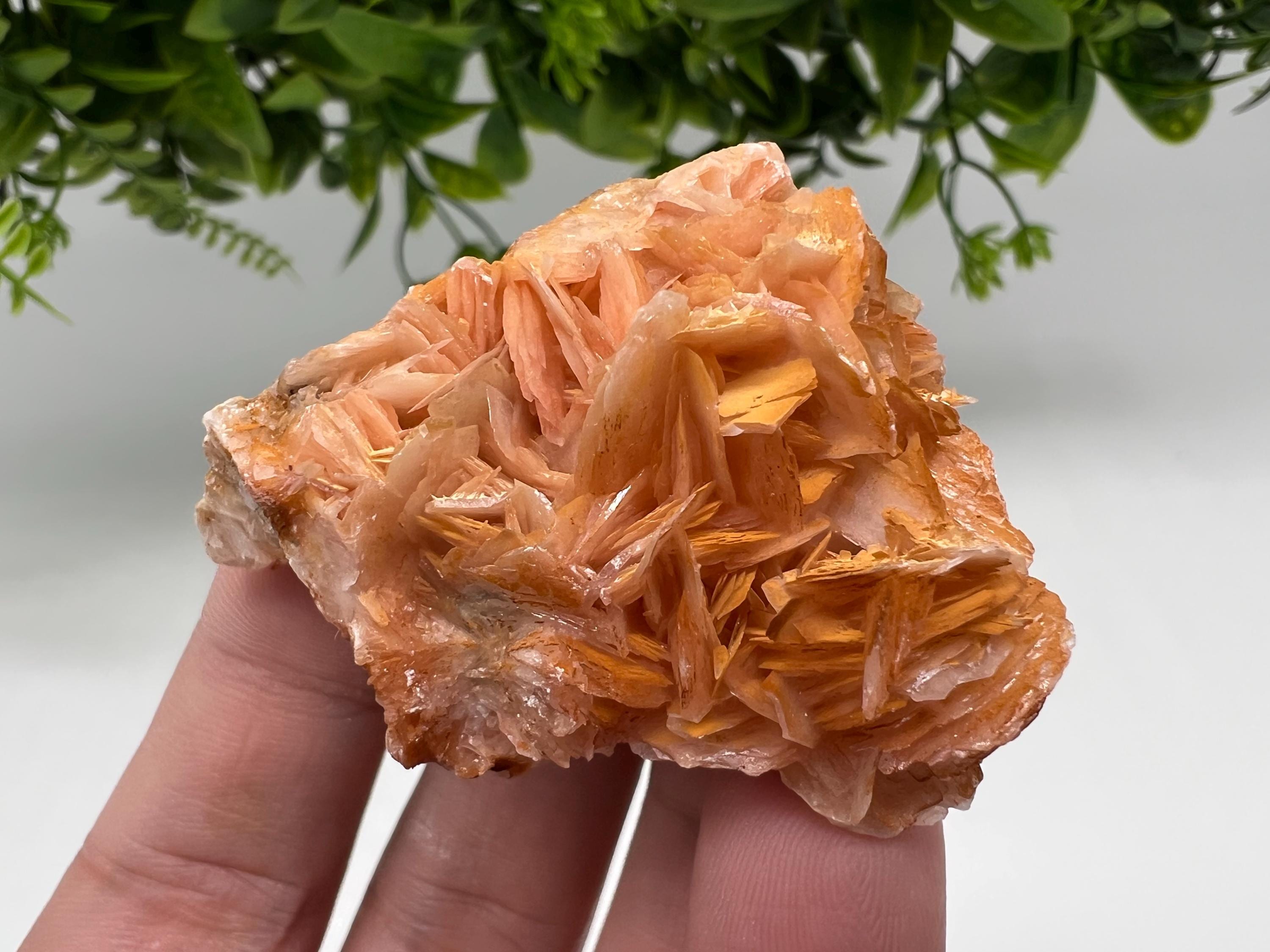 Wonderful Baryte with Cerussite on Galena from Morocco,Crystal, Mineral,Specimen,Cluster,Crystals,Barite Crystal,Cerussite Crystal,Specimen