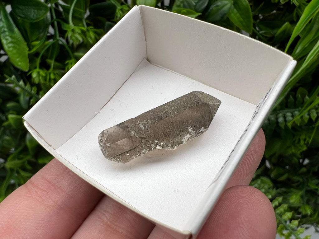 Rare Fedenstock Smoky Quartz Point, Switzerland Mineral Specimen (35MM)
