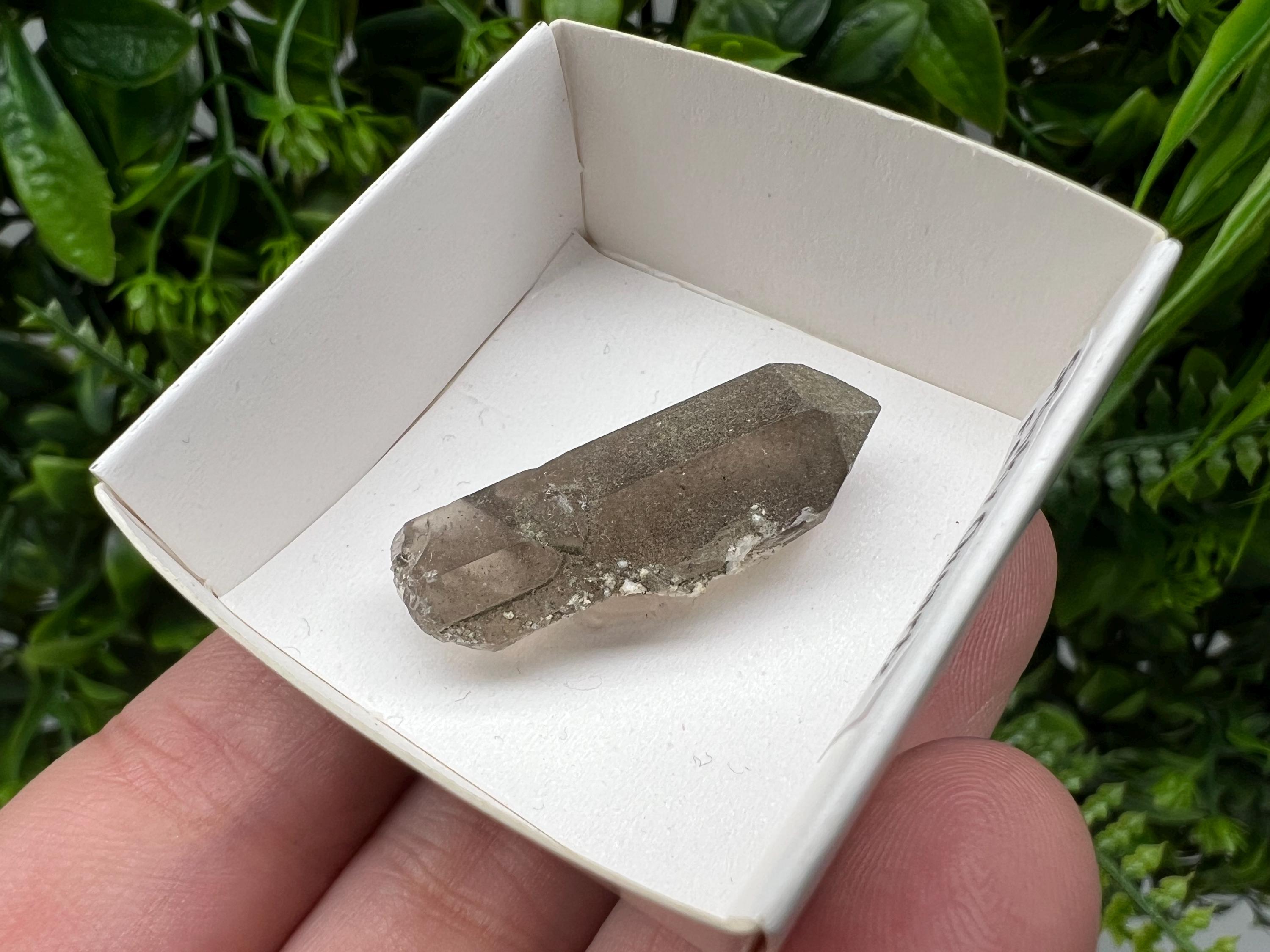 Rare Fedenstock Smoky Quartz Point, Switzerland Mineral Specimen (35MM)