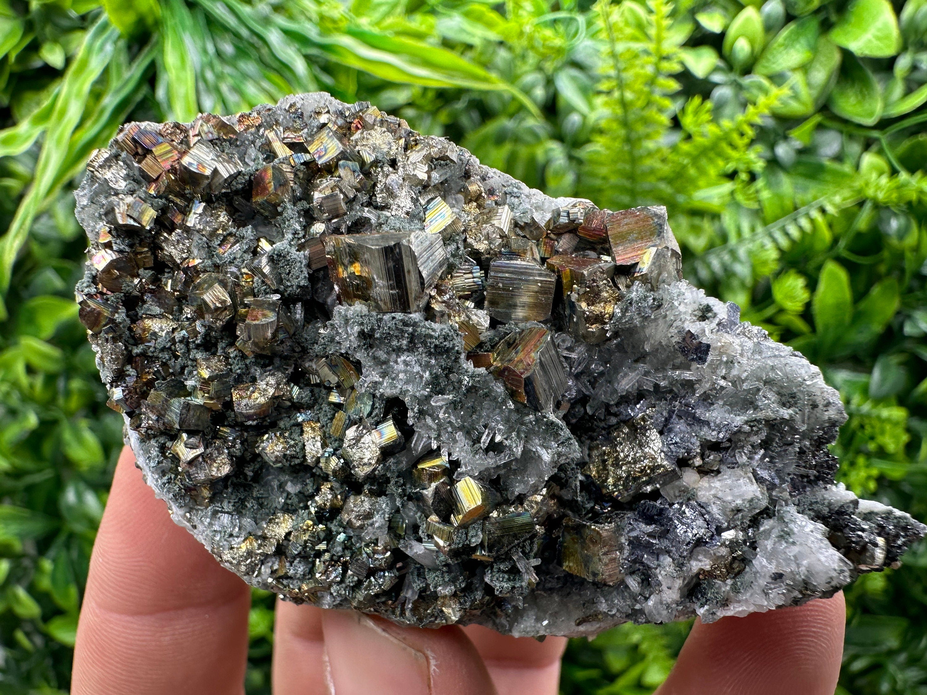 Pyrite on Green Quartz, Borieva Mine Bulgaria, Mineral Specimen