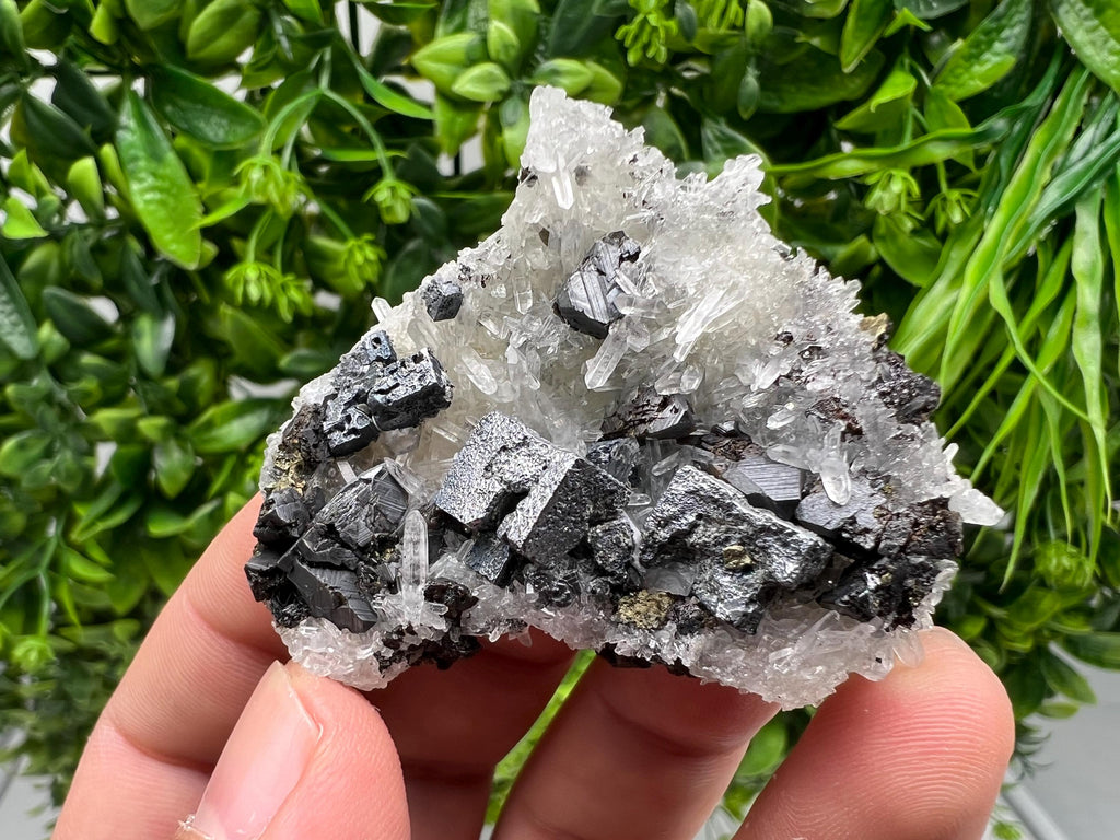 Aesthetic Natural shiny Galena whit Siderite and Quartz from 9 th September mine,Bulgaria,collection specimen,rare galena,Galena cluster