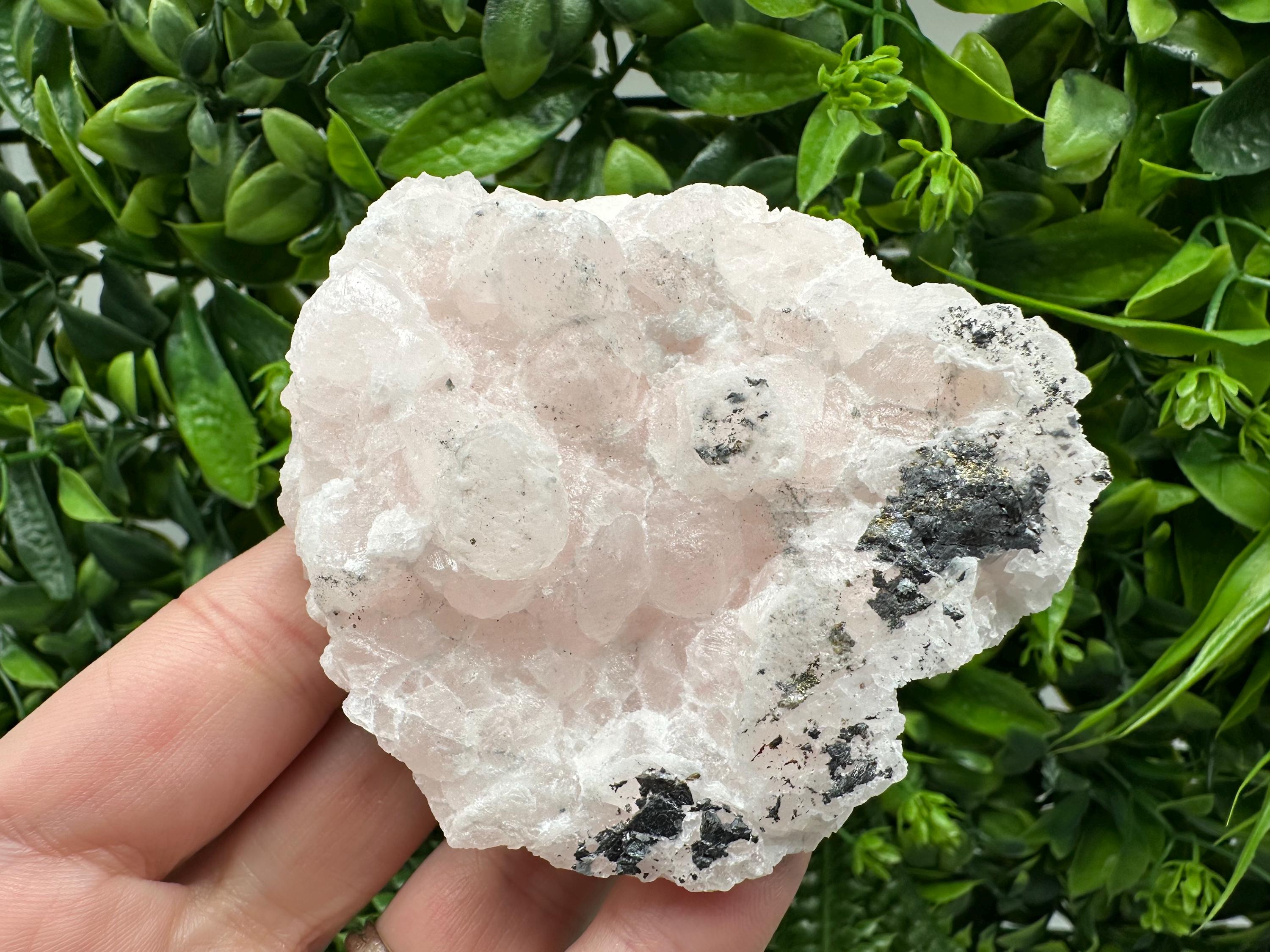 Mangano Calcite with Galena, Borieva Mine, Bulgaria