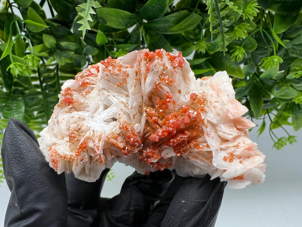 Red Vanadinite on Barite from Marocco,crystal minerals Speciment cluster Vanadinite crystal Vanadinite Geology Vanadinite cluster minerals