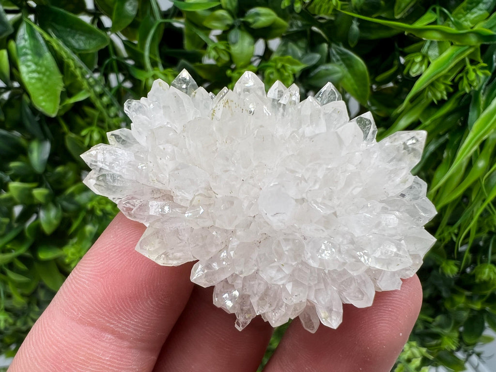Stunning Transparent Quartz,from Borieva mine,natural collection mineral specimen rare crystal,home decor crystal,quartz cluster,Quartz,gift