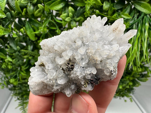Chalcopyrite on Quartz Crystal: Borieva Mine, Bulgaria