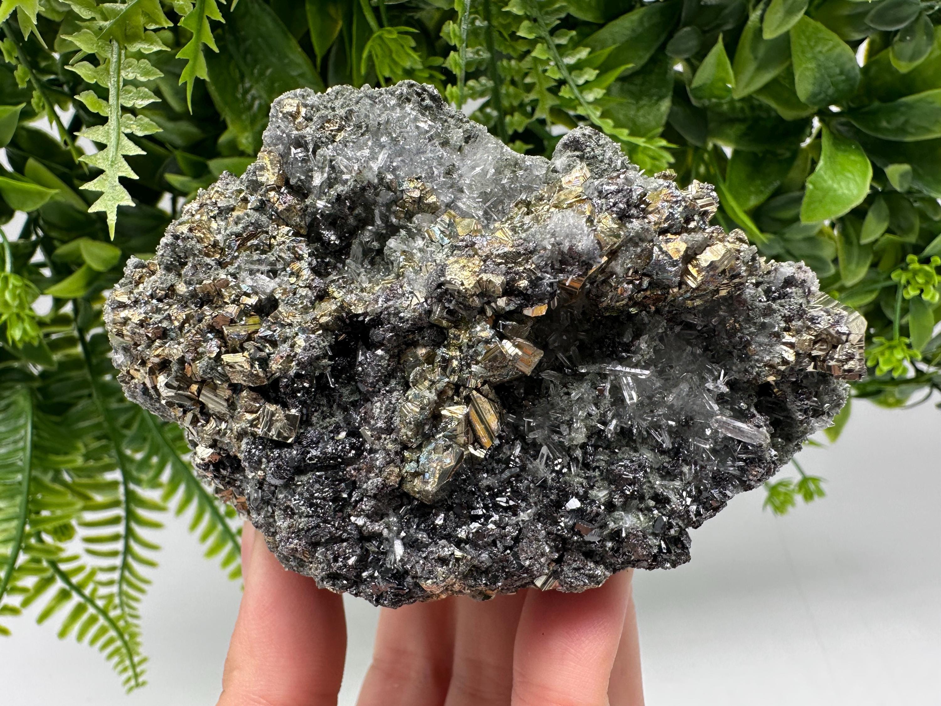 Pyrite on Green Quartz: Rare Mineral Specimen, Borieva Mine