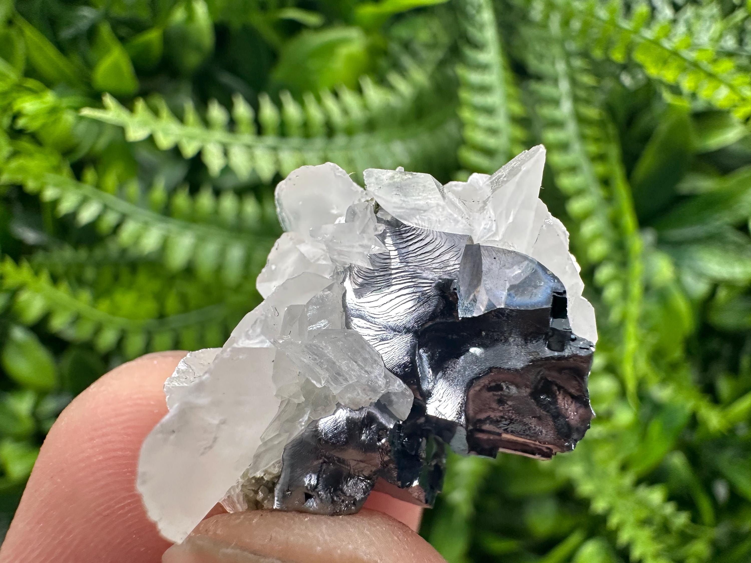 Quartz Galena Calcite Specimen: Borieva Mine, Bulgaria