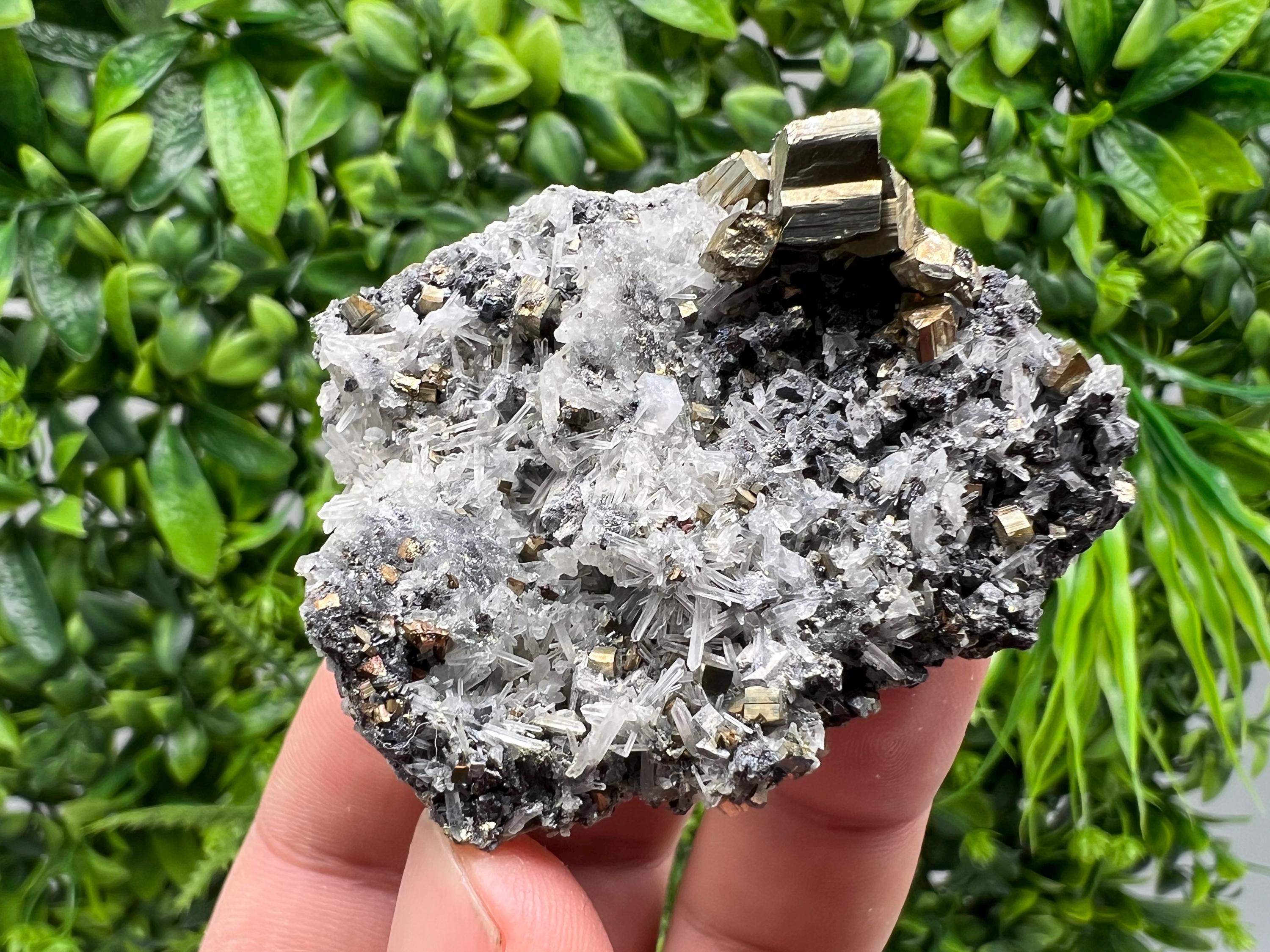 Rainbow Pyrite on Quartz, Oxide Mineral Specimen, Bulgaria