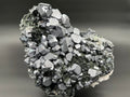 Skeletal Galena on Quartz with Chlorite, Borieva Mine Bulgaria