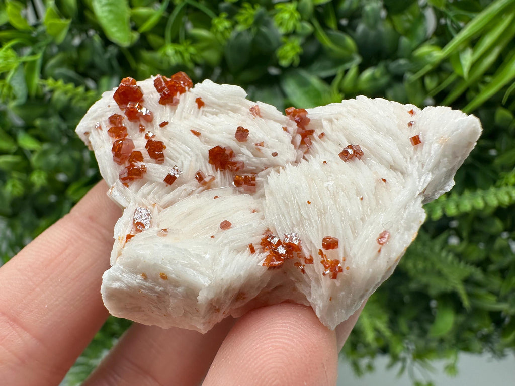 Red Vanadinite on Barite Cluster, Morocco Mineral Specimen