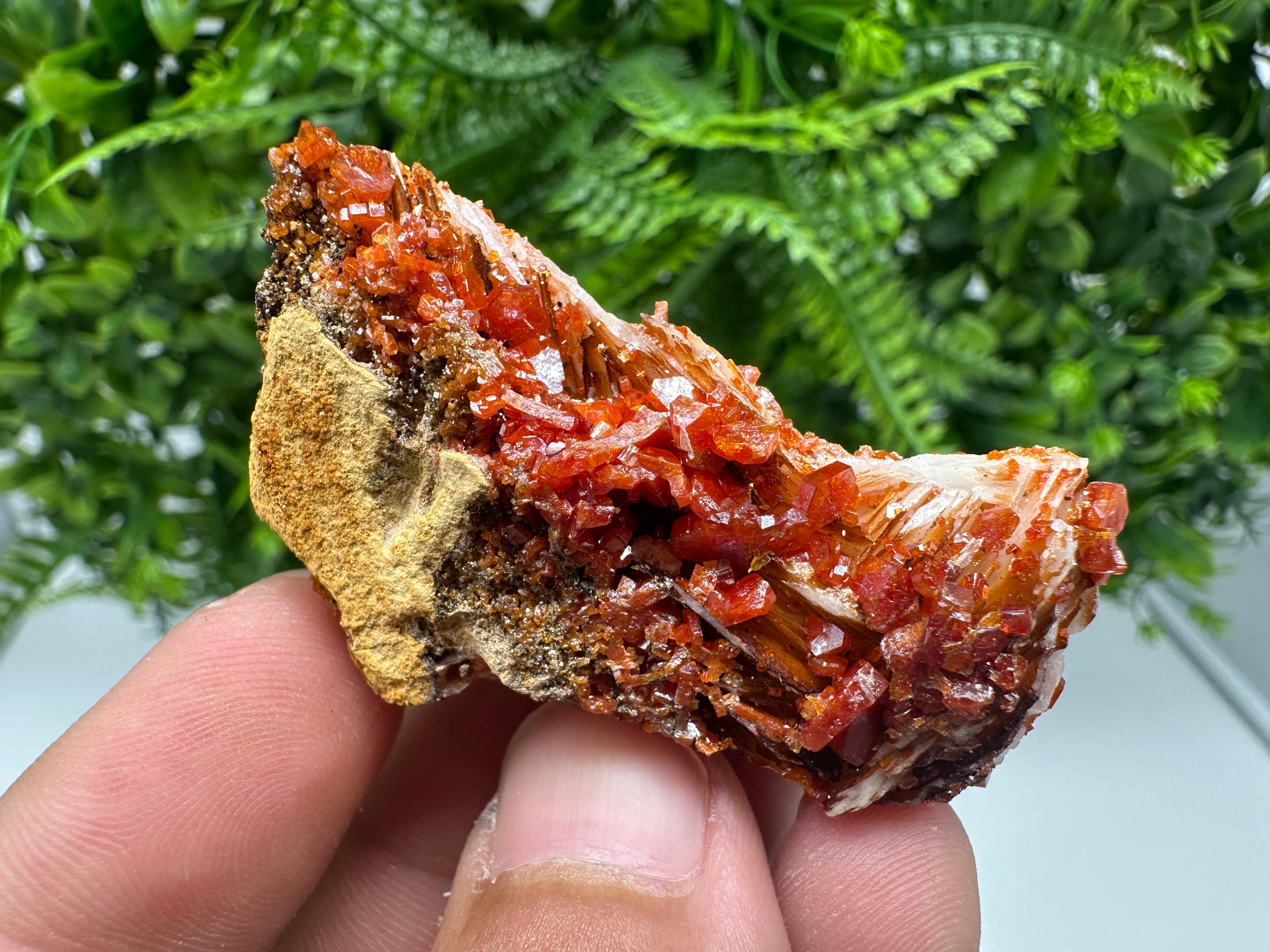 Red Vanadinite on Barite from Marocco,crystal minerals Speciment cluster Vanadinite crystal Vanadinite Geology Vanadinite cluster minerals