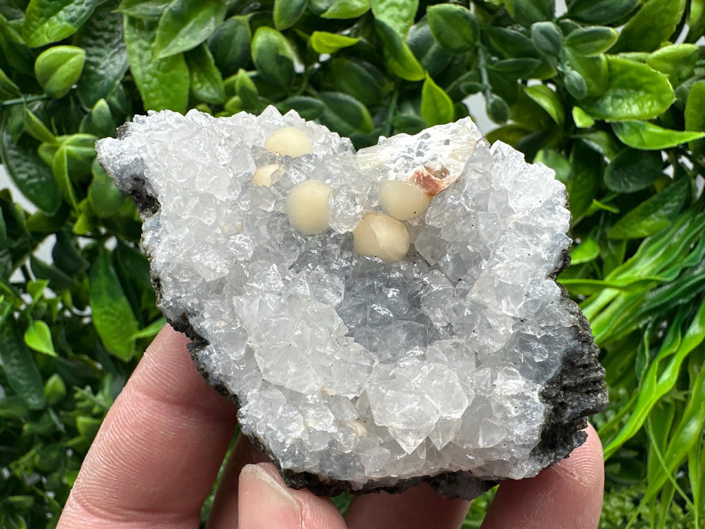 Transparent Apophyllite on Chalcedony, India Mineral Specimen