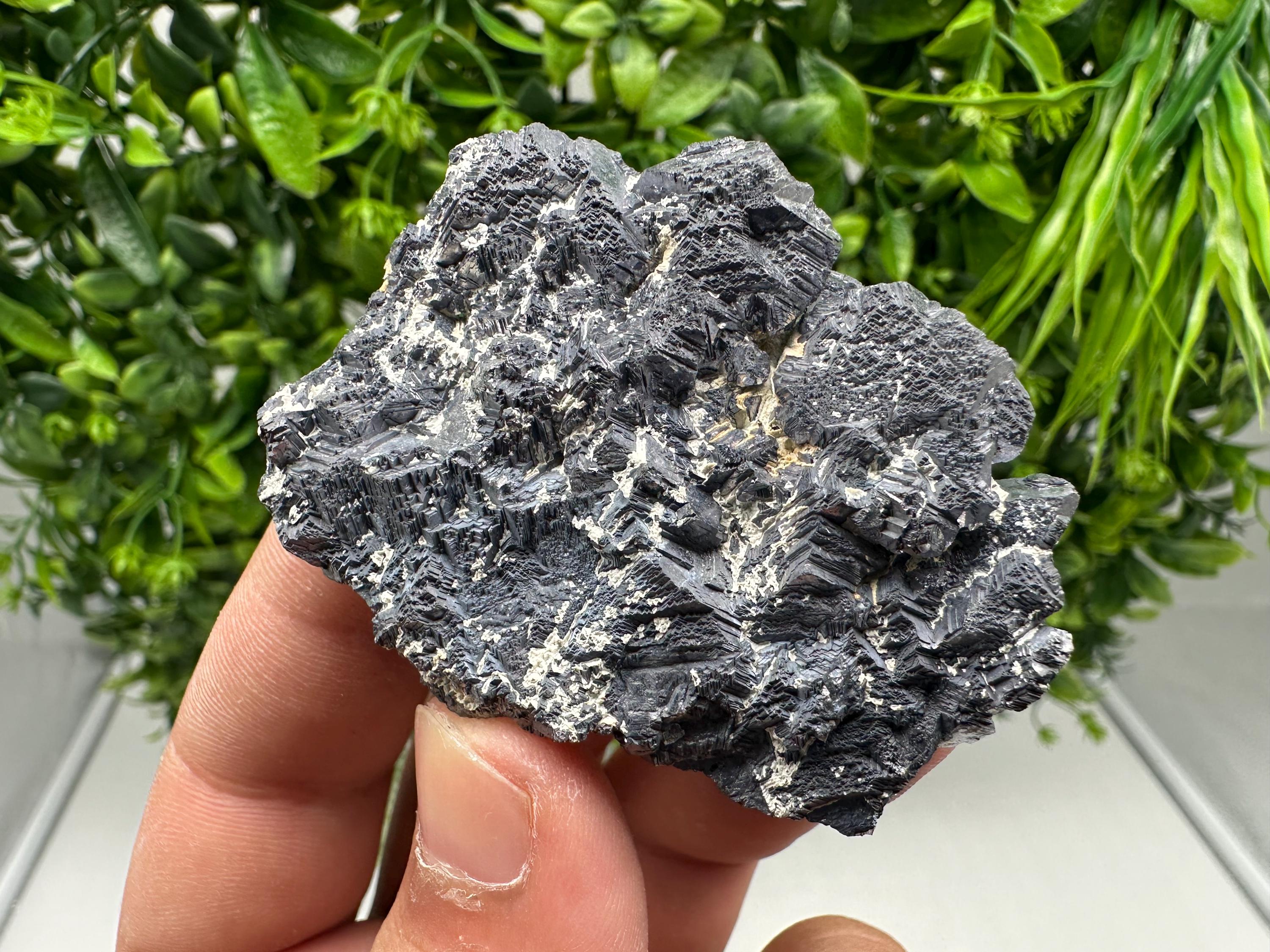 Galena Spinel Law Mineral Specimen: Krushev Dol, Bulgaria